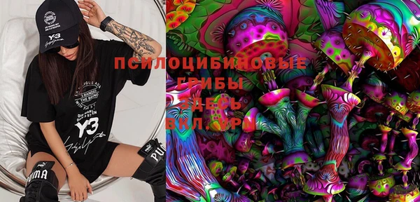 дурь Лиски